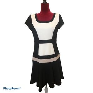 🖤Black Drop-Waist Dress